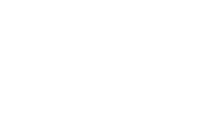 Logo Blow Up