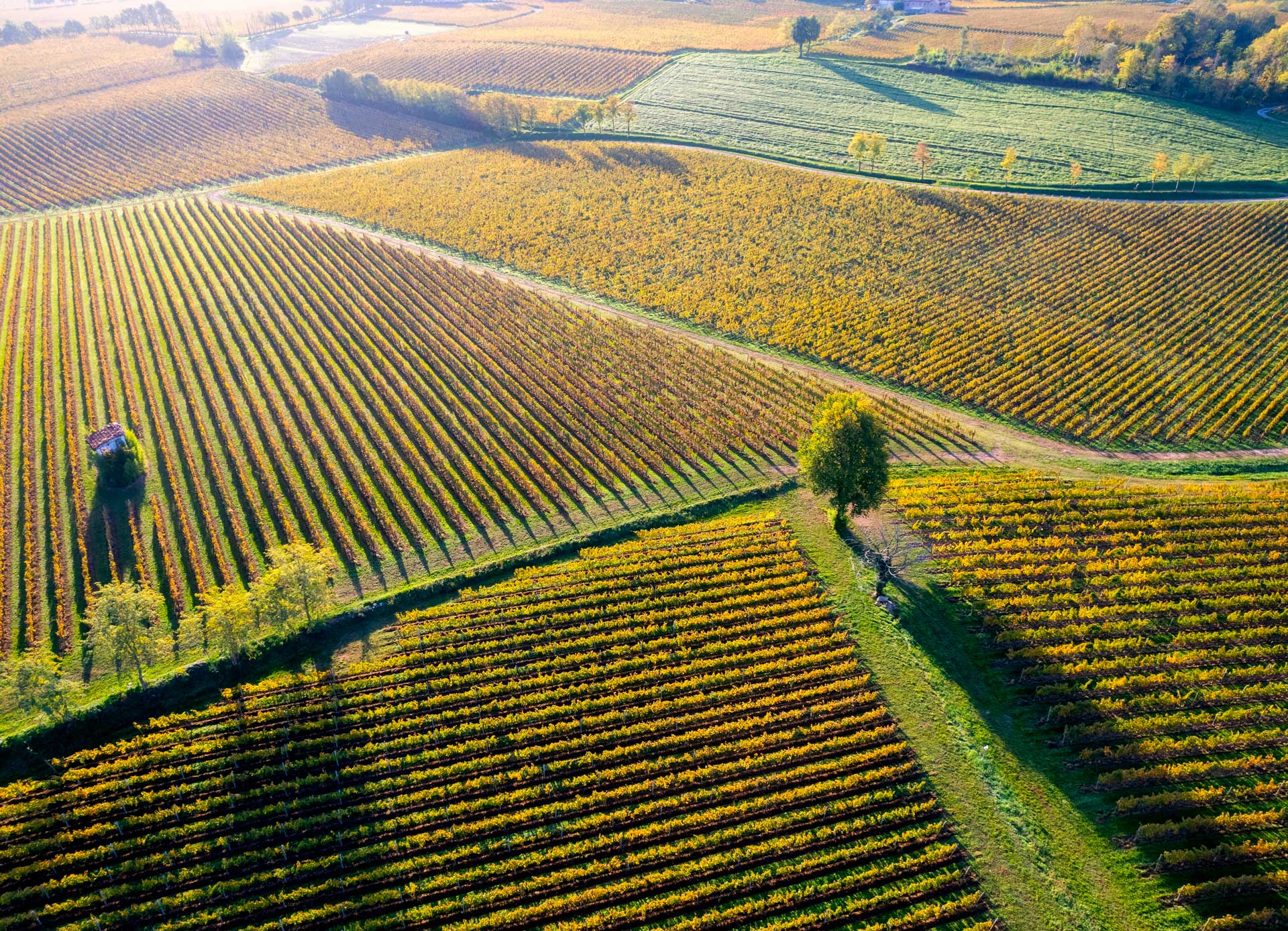 Il Paesaggio Della Franciacorta Contadi Castaldi