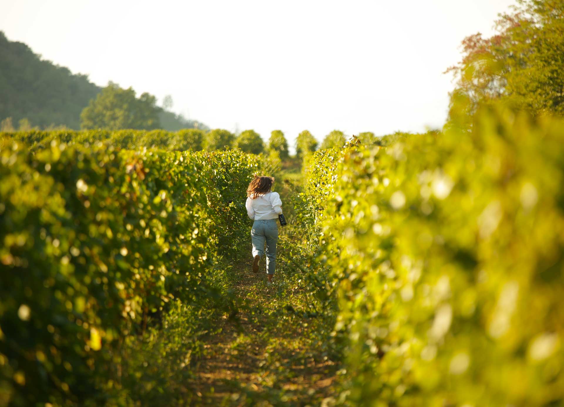Il Paesaggio Della Franciacorta Contadi Castaldi