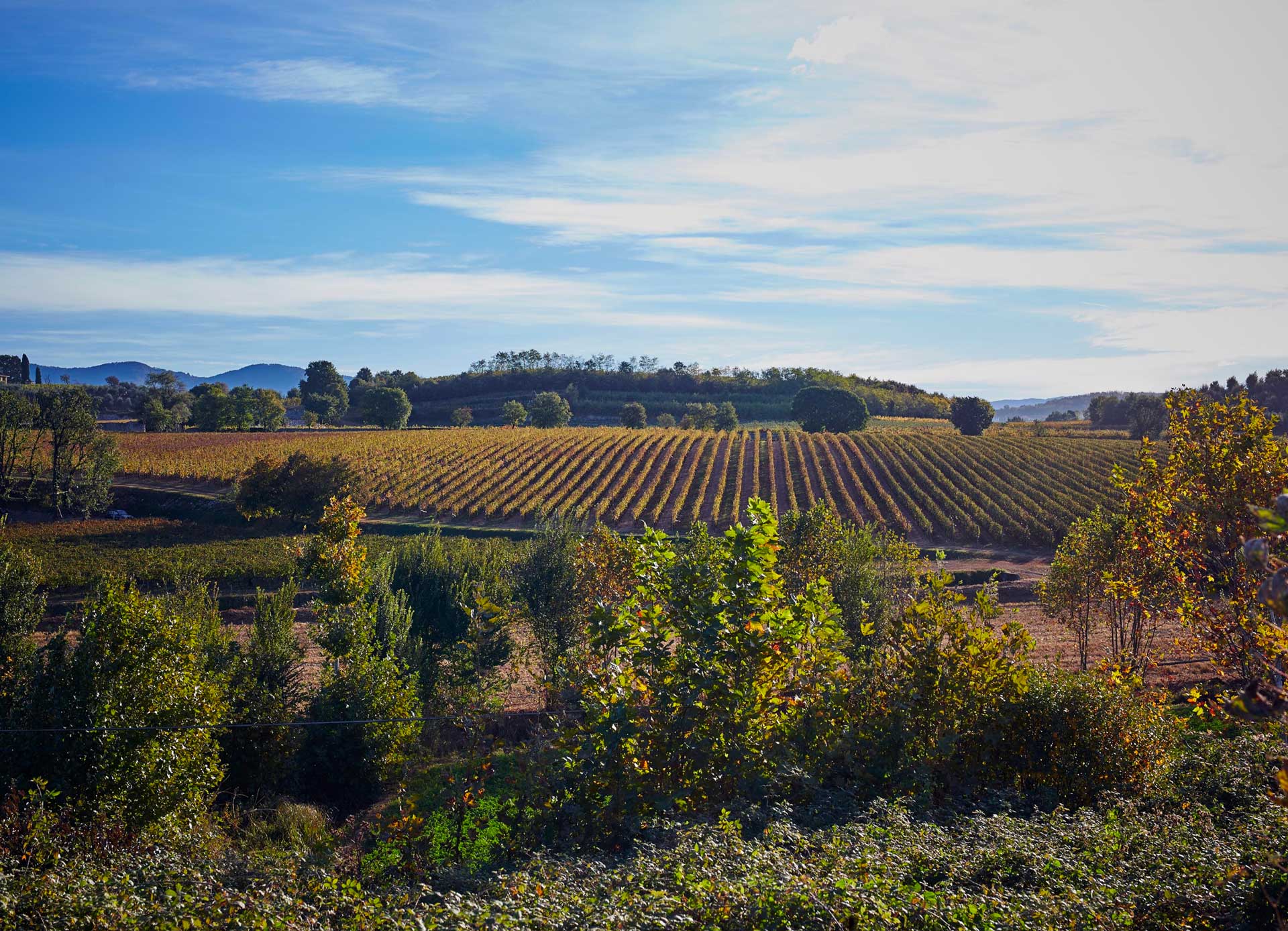 Il Paesaggio Della Franciacorta Contadi Castaldi
